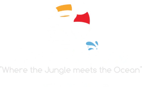 casa playitas manuel antonio