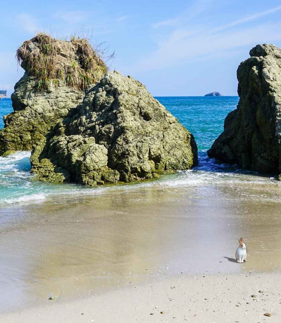 Easter rates costa rica vacation