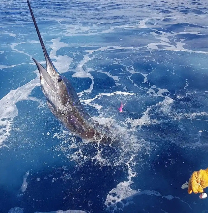 SPORTFISHING IN QUEPOS, COSTA RICA