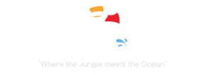 casa playitas footer logo