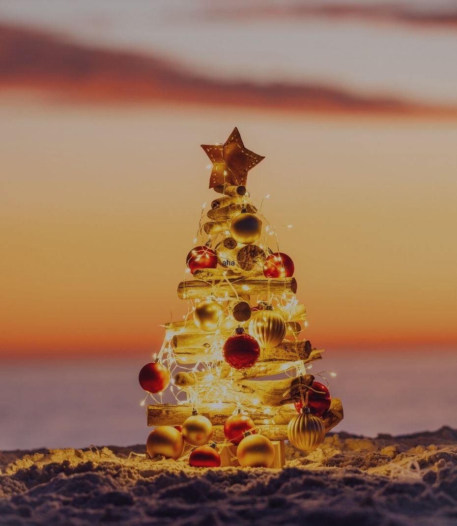 thanksgiving rates casa playitas costa rica