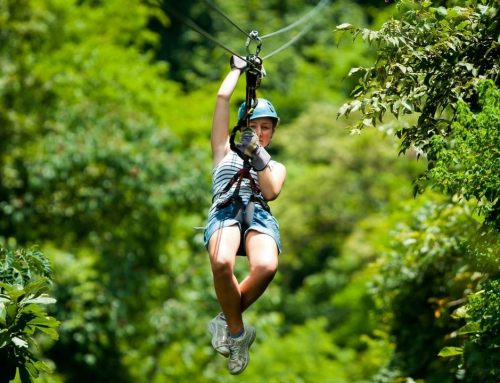 The Best Things To Do in Manuel Antonio, Costa Rica