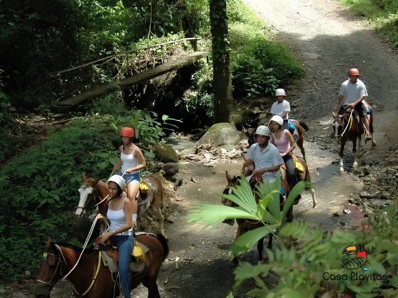horseback riding tours manuel antonio costa rica