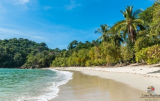 manuel antonio park guide