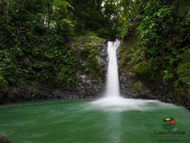 Waterfall pouring into a bright turquoise pool surrounded by dense green tropical foliage; Casa Playitas logo bottom-right corner.