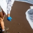 Turtle Release Season Near Manuel Antonio | Quepos, Costa Rica